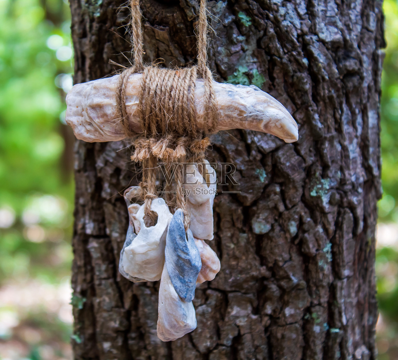十三上传照片摄影图片