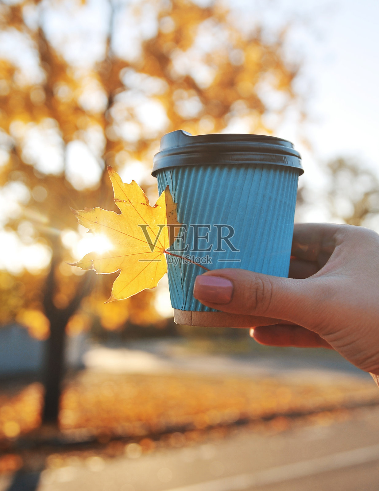 女性的手与纸杯咖啡在秋天的背景。照片摄影图片