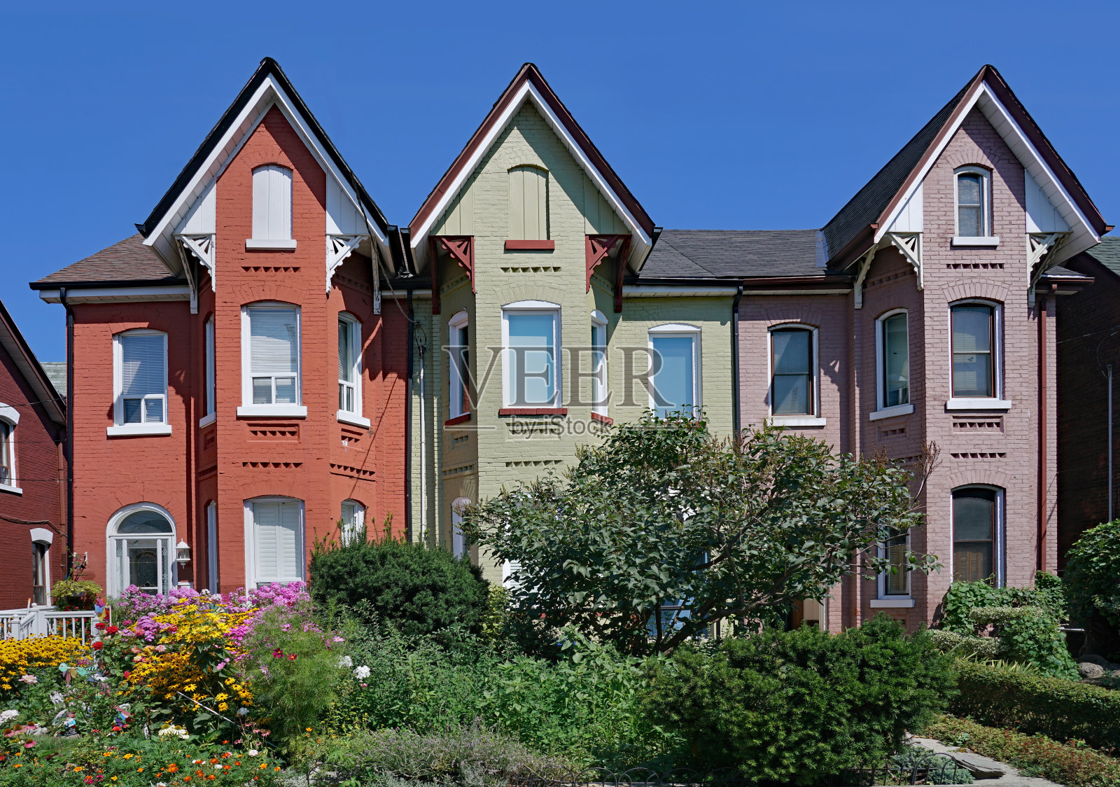街道上有色彩鲜艳的半独立式老房子，前面有花园照片摄影图片
