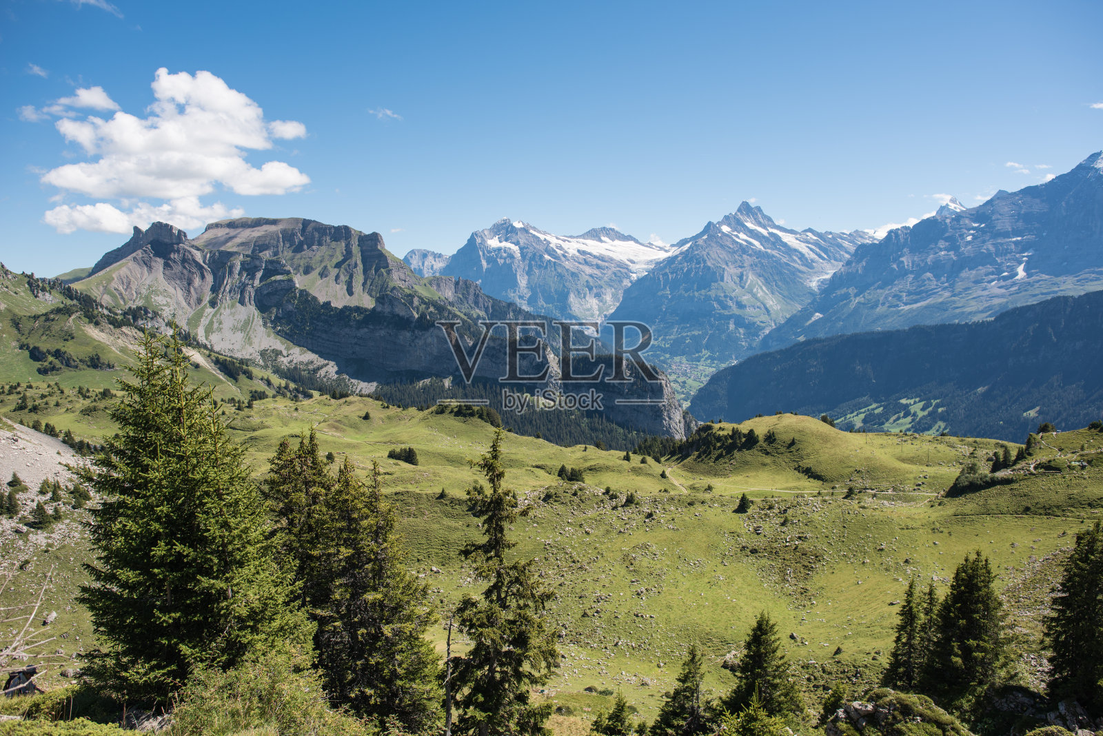 你的地盘照片摄影图片