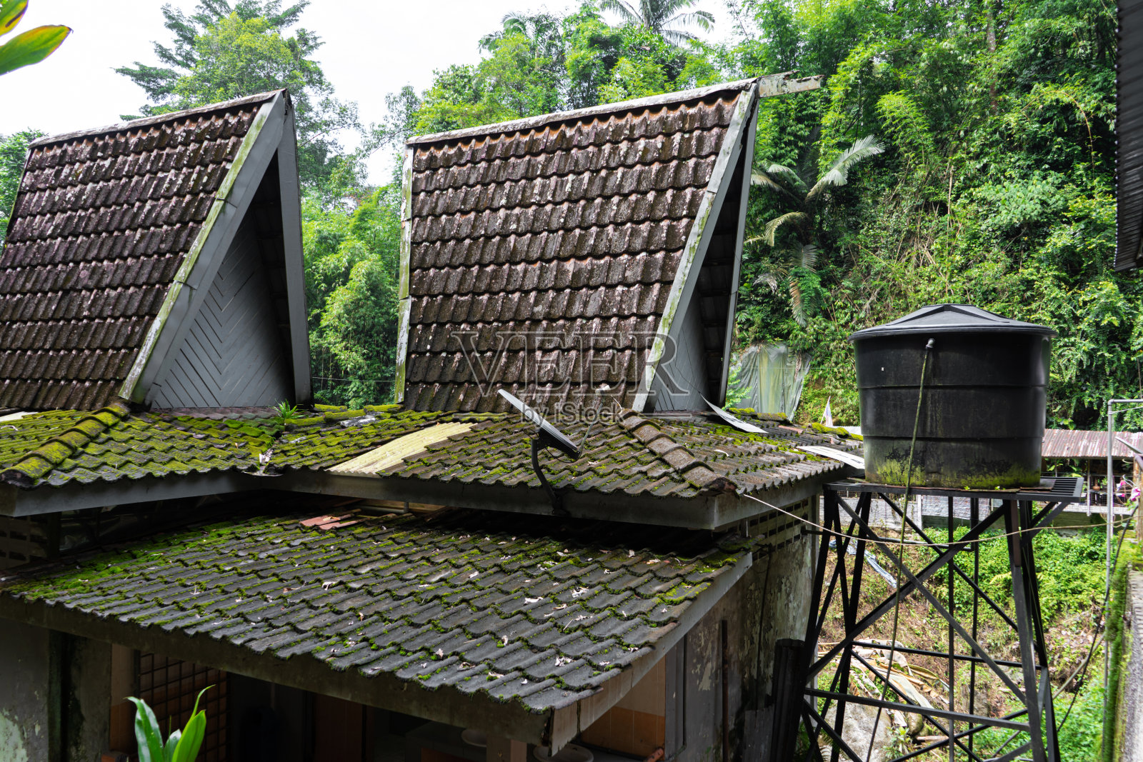 在亚洲的丛林中，有着不同寻常的高瓦屋顶的小房子建筑。照片摄影图片