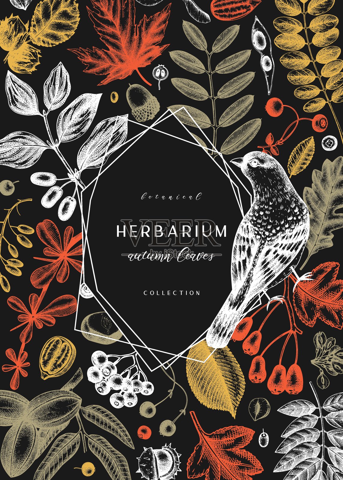 秋季贺卡设计插画图片素材