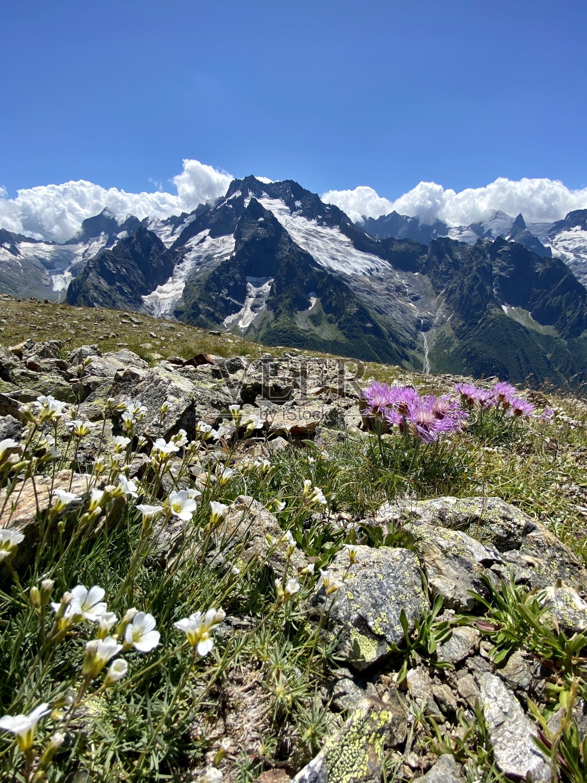迷人的山景，山花在前景。晴空万里，蓝天上布满积云照片摄影图片