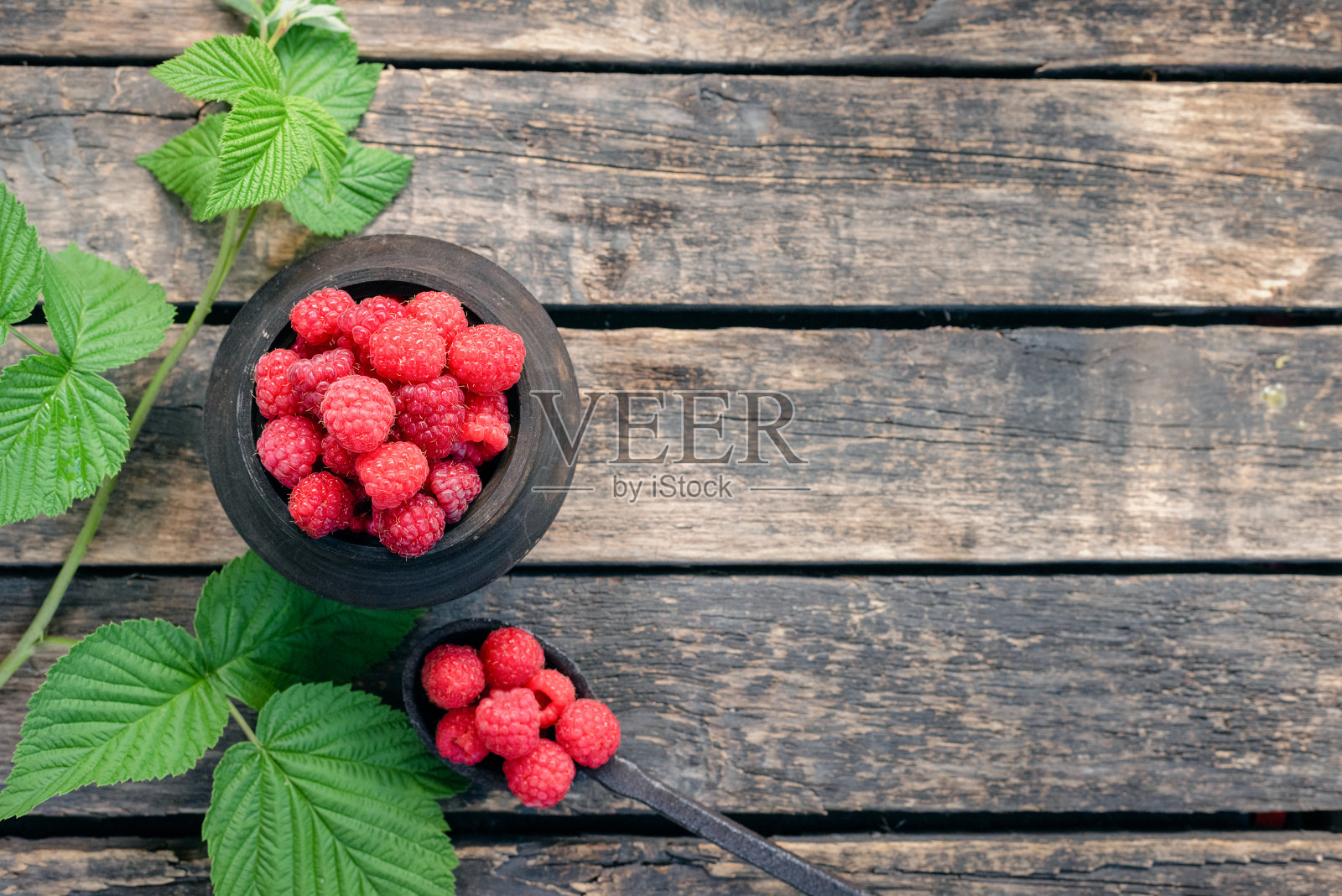 园艺。照片摄影图片