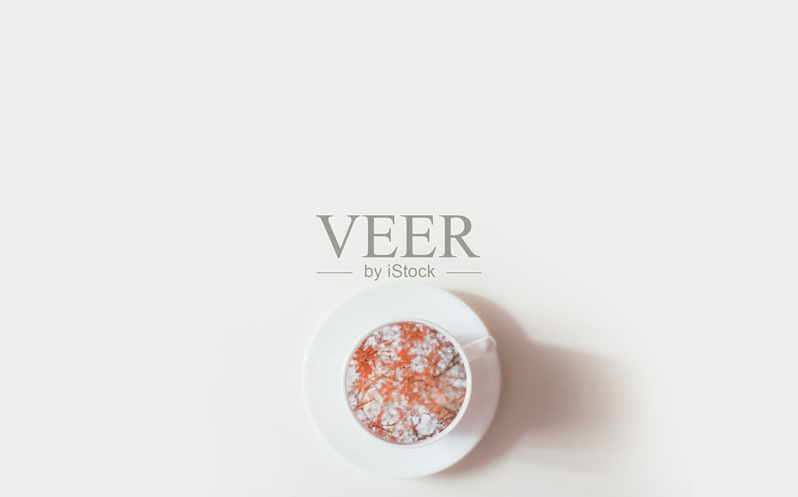 明亮的橙色叶子在白色的背景杯照片摄影图片