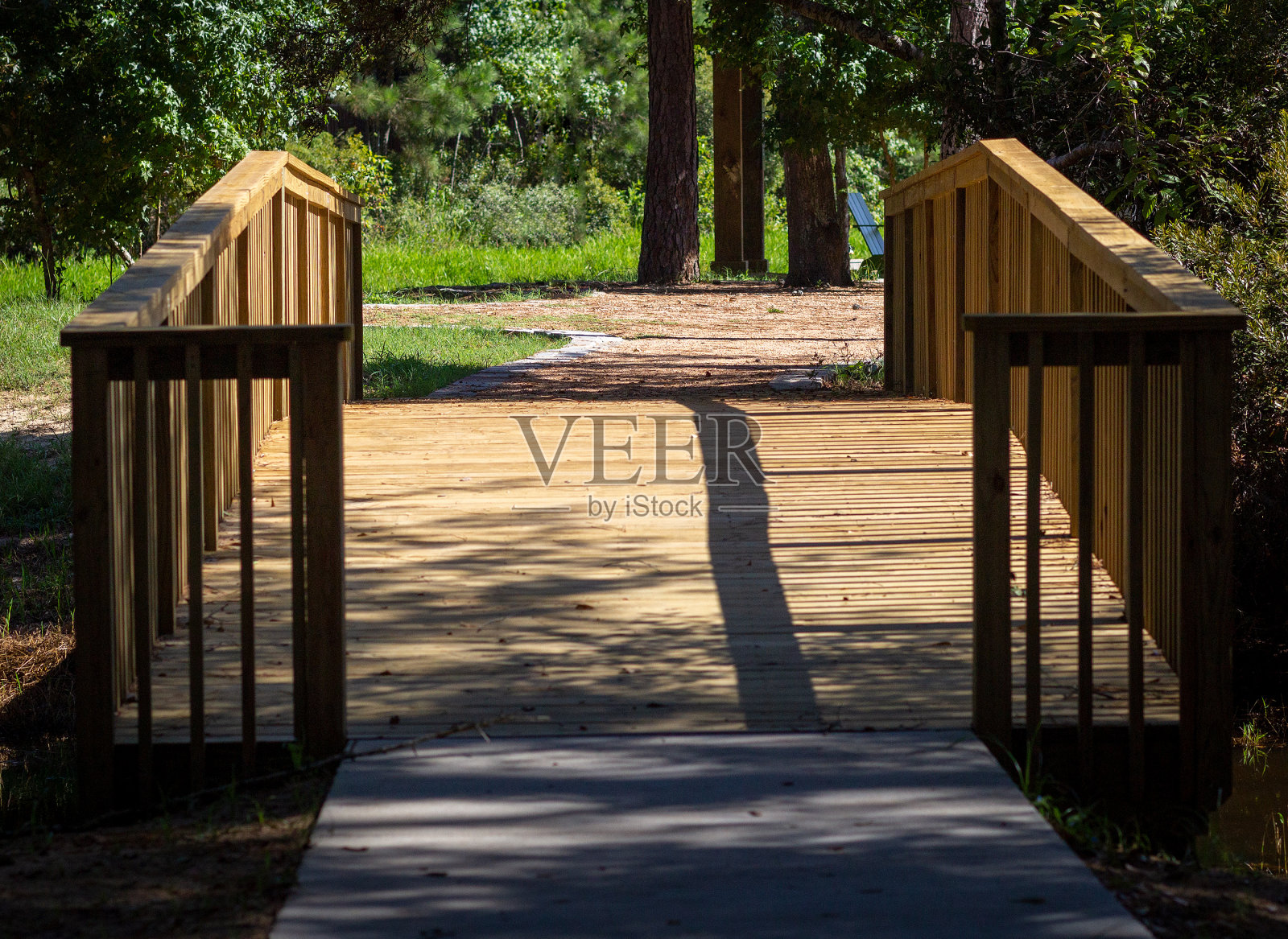 公园里的木桥照片摄影图片