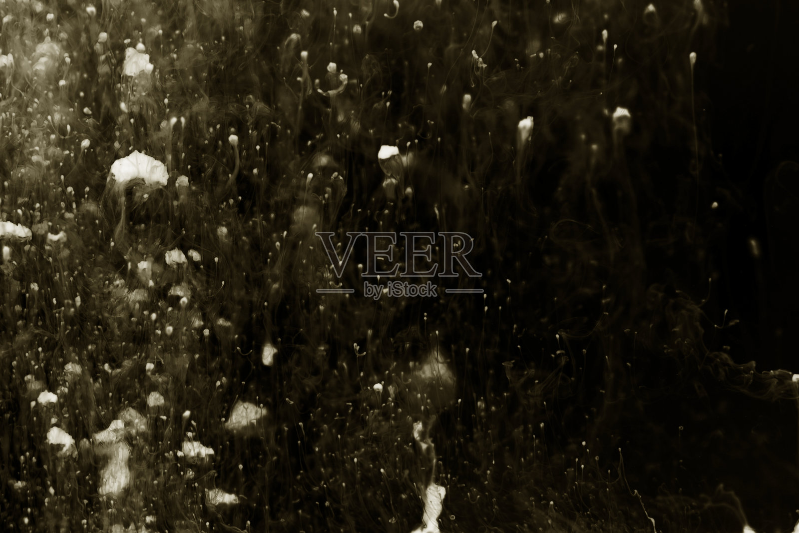 溶于热水的颗粒特写照片摄影图片