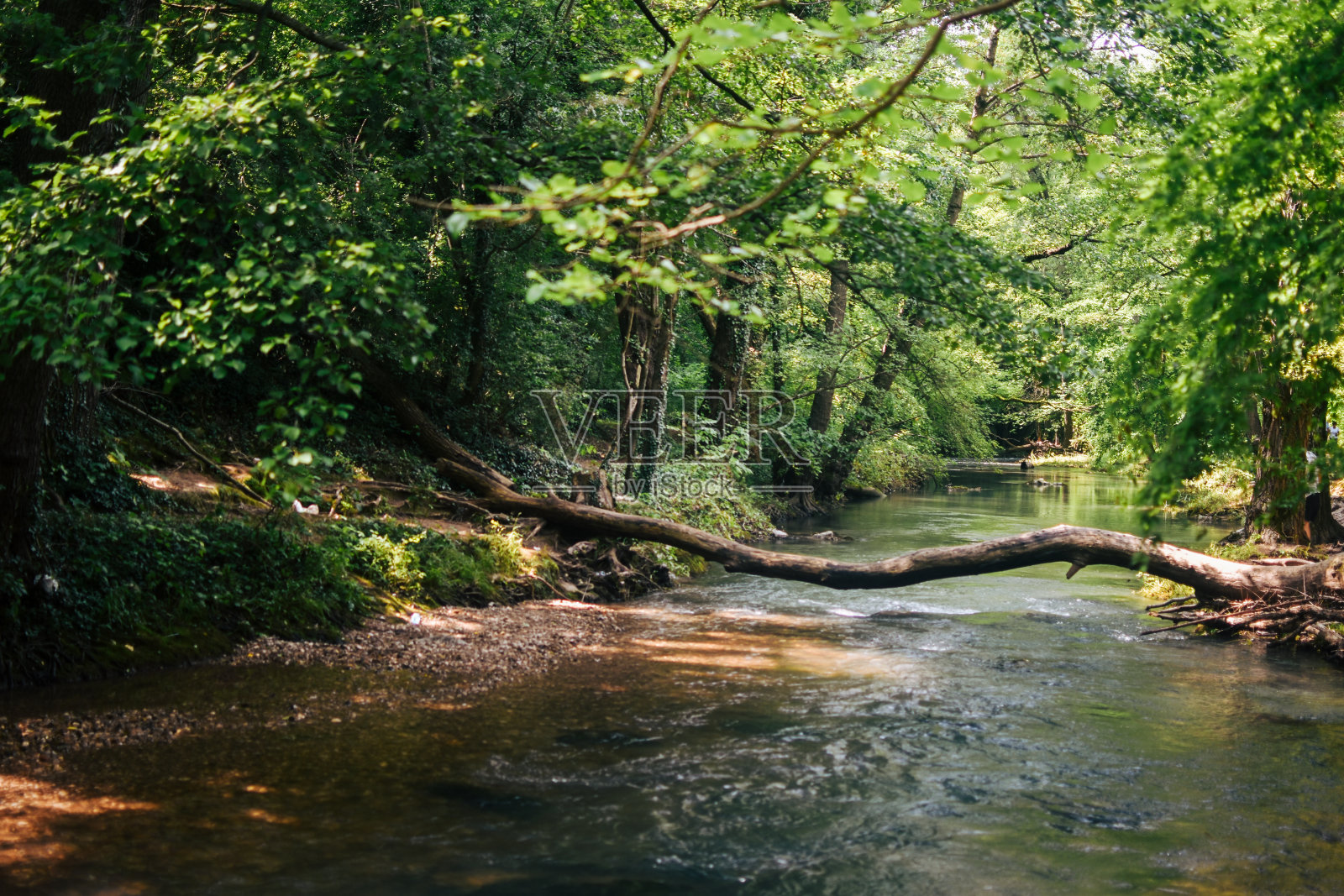 河照片摄影图片