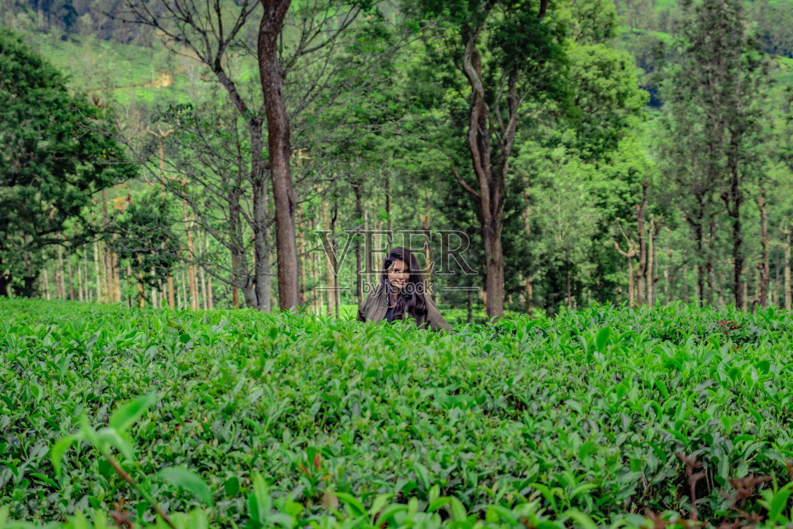 女孩在以明亮的天空为背景的绿茶花园摆姿势照片摄影图片