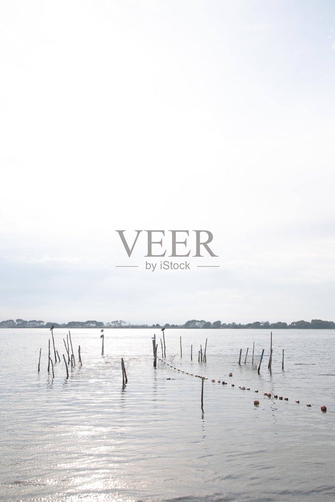 美丽的丹麦风景照片摄影图片