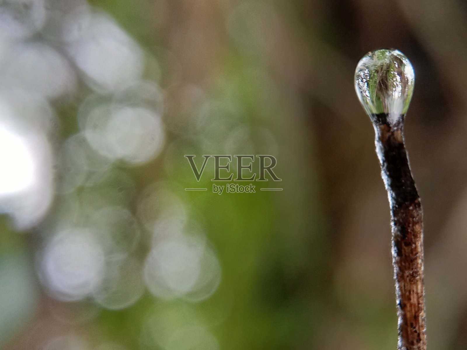 特写水滴与美丽的背景照片摄影图片