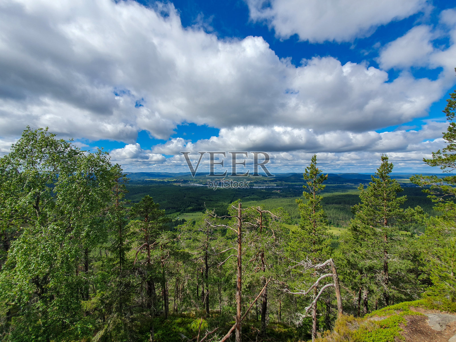 从Järvsöklacken的顶部观看照片摄影图片