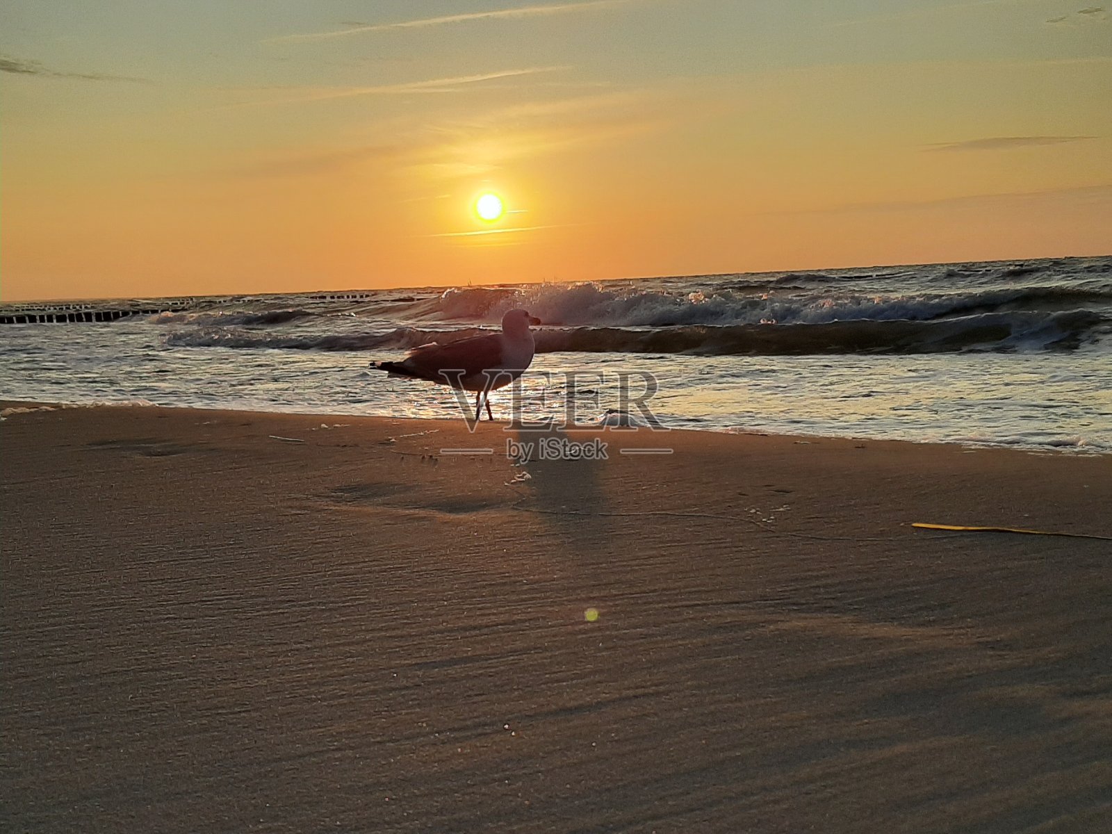 日落照片摄影图片