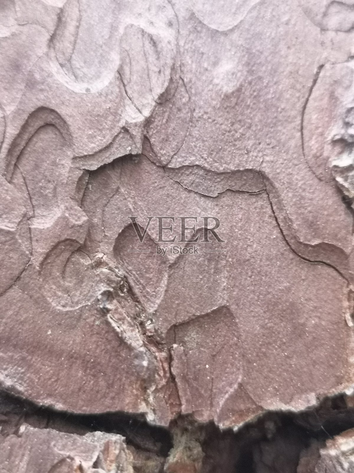 心照片摄影图片