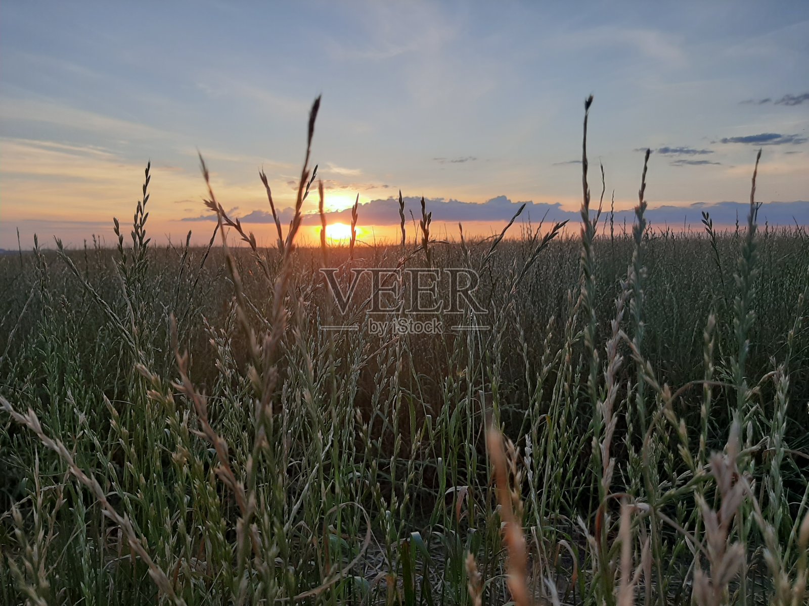 当太阳落山时照片摄影图片