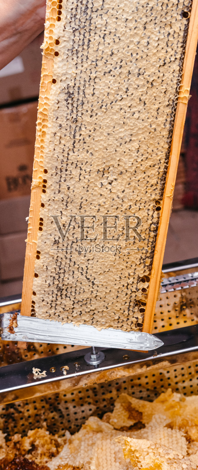 美味健康的蜂蜜密封在蜂巢里。用一种特殊的工具打开蜜蜂木框架内的蜂蜜。蜂窝长工作刀。照片摄影图片