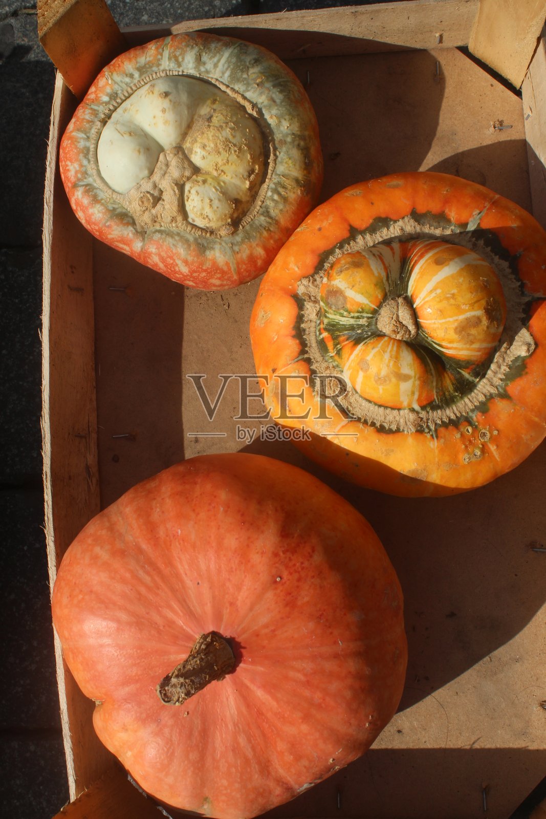 南瓜照片摄影图片