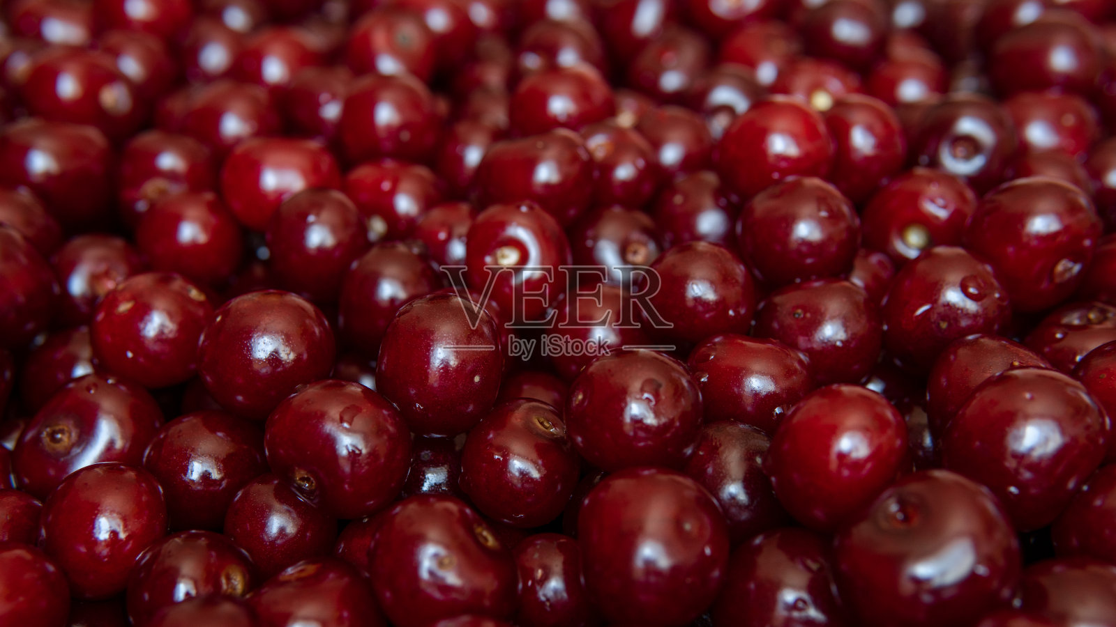 成熟的红色多汁樱桃。新鲜的有机浆果背景。素食者的概念。照片摄影图片