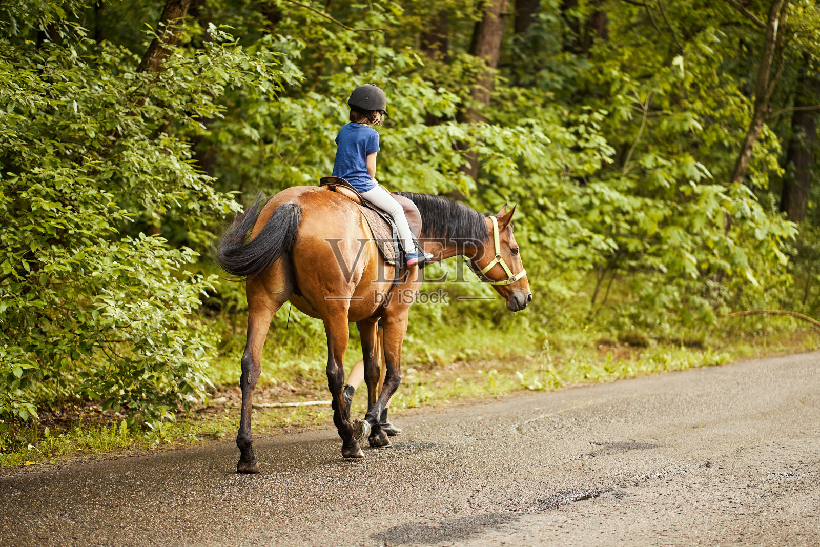 小女孩骑着一匹漂亮的马在森林里的路上照片摄影图片