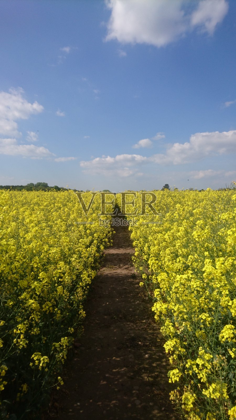 黄色的路径照片摄影图片