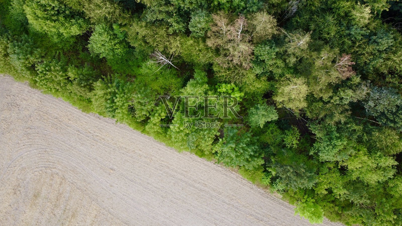 无人机拍摄的绿色森林。照片摄影图片