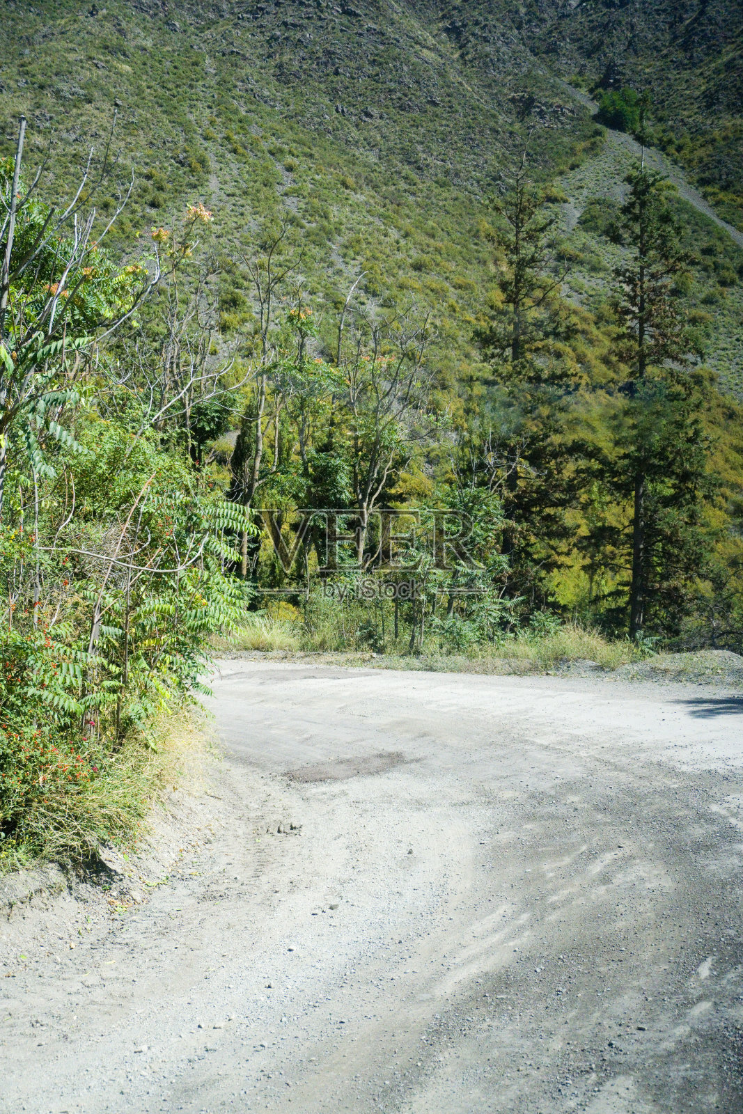 道路弯道，土路和山坡上的石头与树木的两侧在heras部门，门多萨，阿根廷照片摄影图片