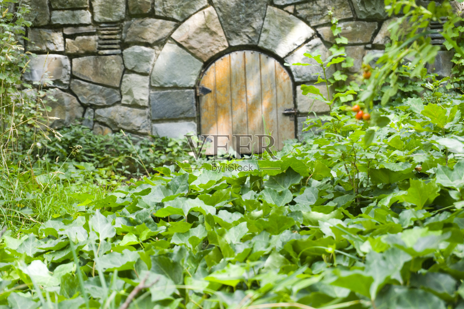 阿根廷门多萨赫拉斯省villavicencio自然保护区的室外花园，石砌小木门，门前被葡萄藤叶子包围照片摄影图片