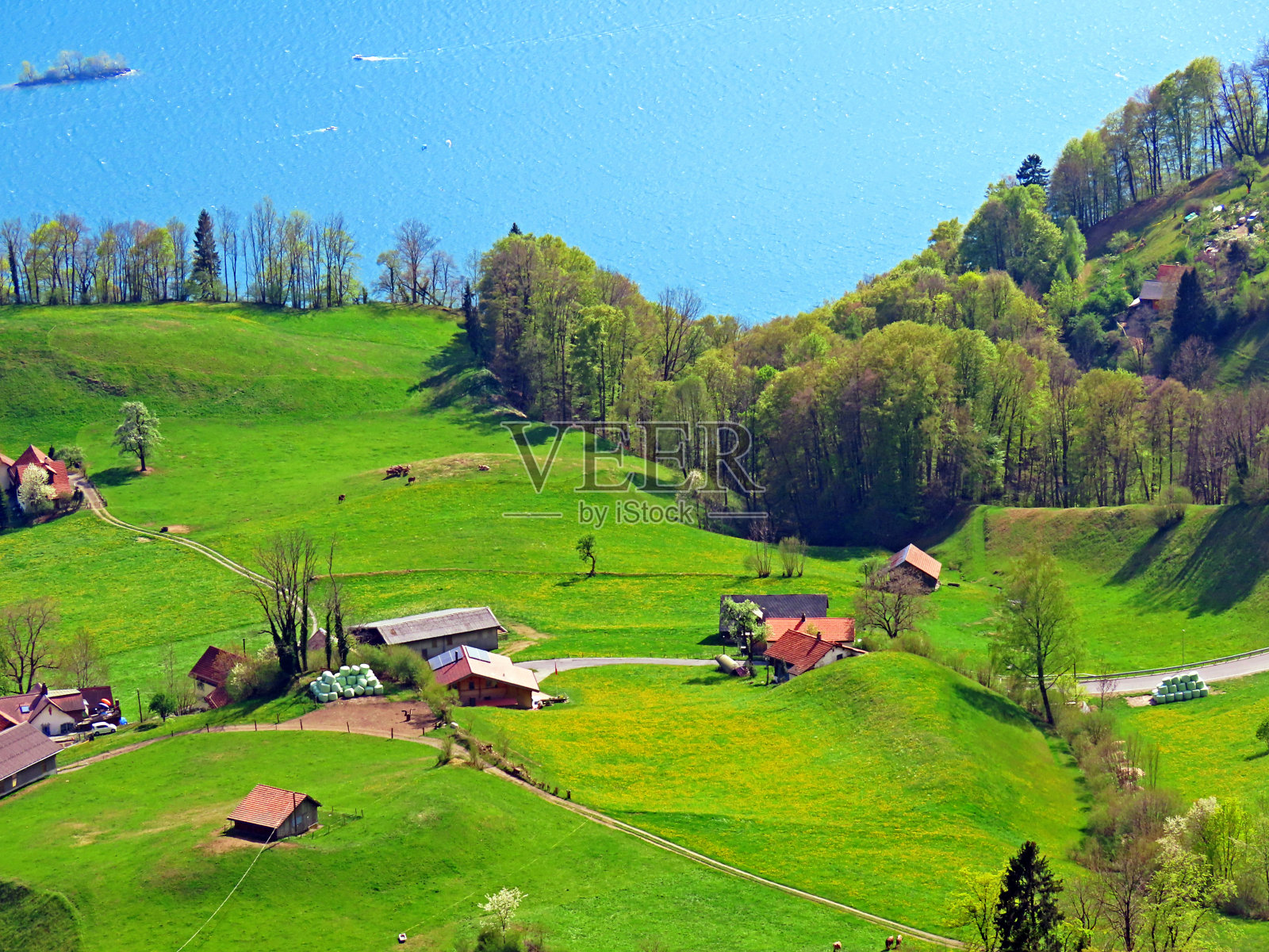 瑞士圣加伦州瓦伦施塔特堡的Seeztal山谷和瓦伦泽湖上的传统乡村建筑和家庭牲畜农场(瑞士圣加伦坎顿)照片摄影图片