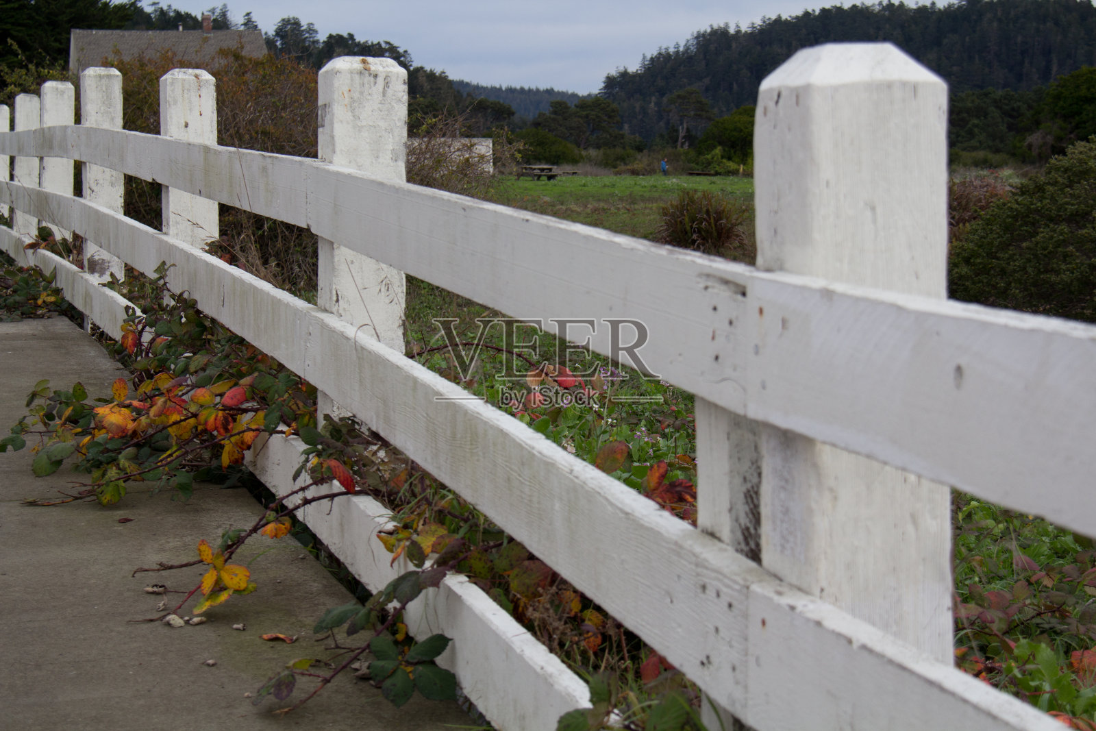 草地上的旧木栅栏照片摄影图片