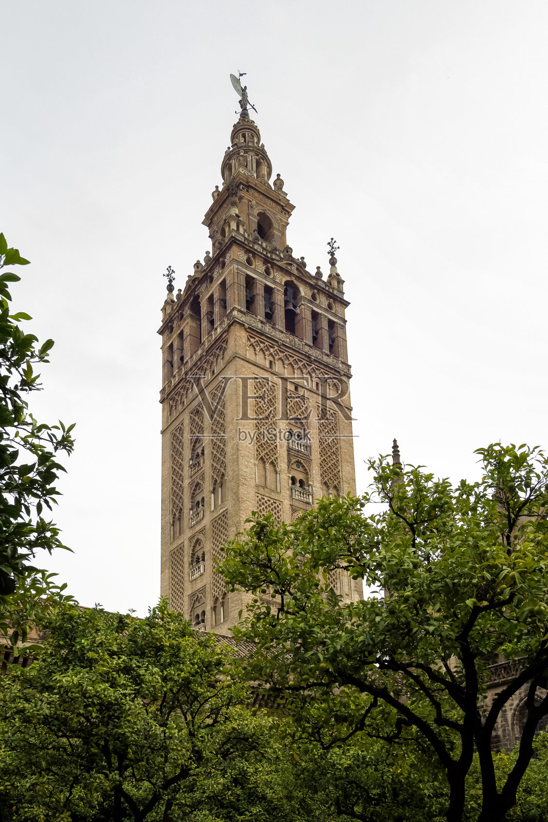 圣玛丽大教堂，西班牙塞维利亚的圣玛丽亚大教堂。照片摄影图片