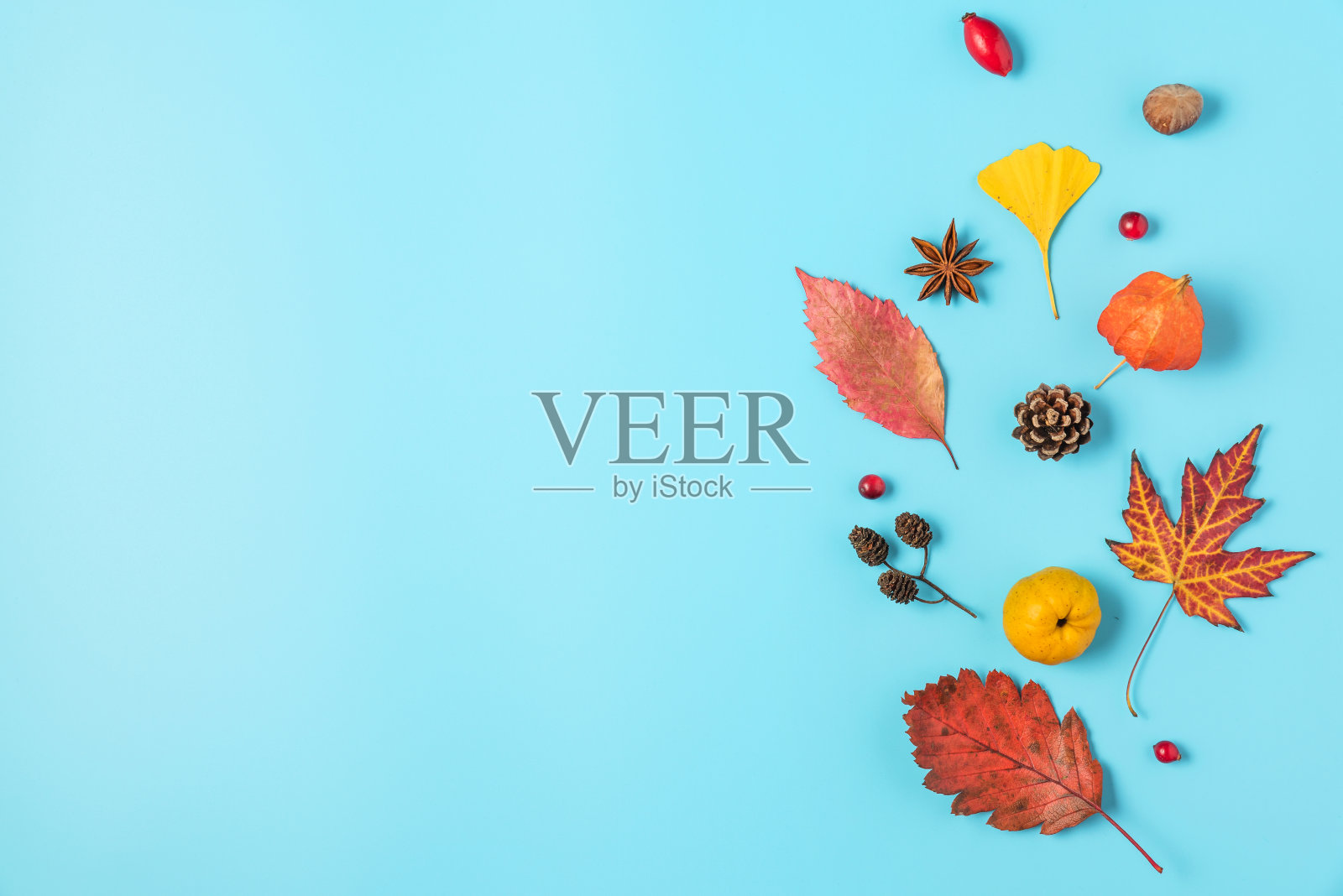 秋天的作品，由干树叶，花，坚果，浆果在蓝色的背景。平躺，俯视图照片摄影图片