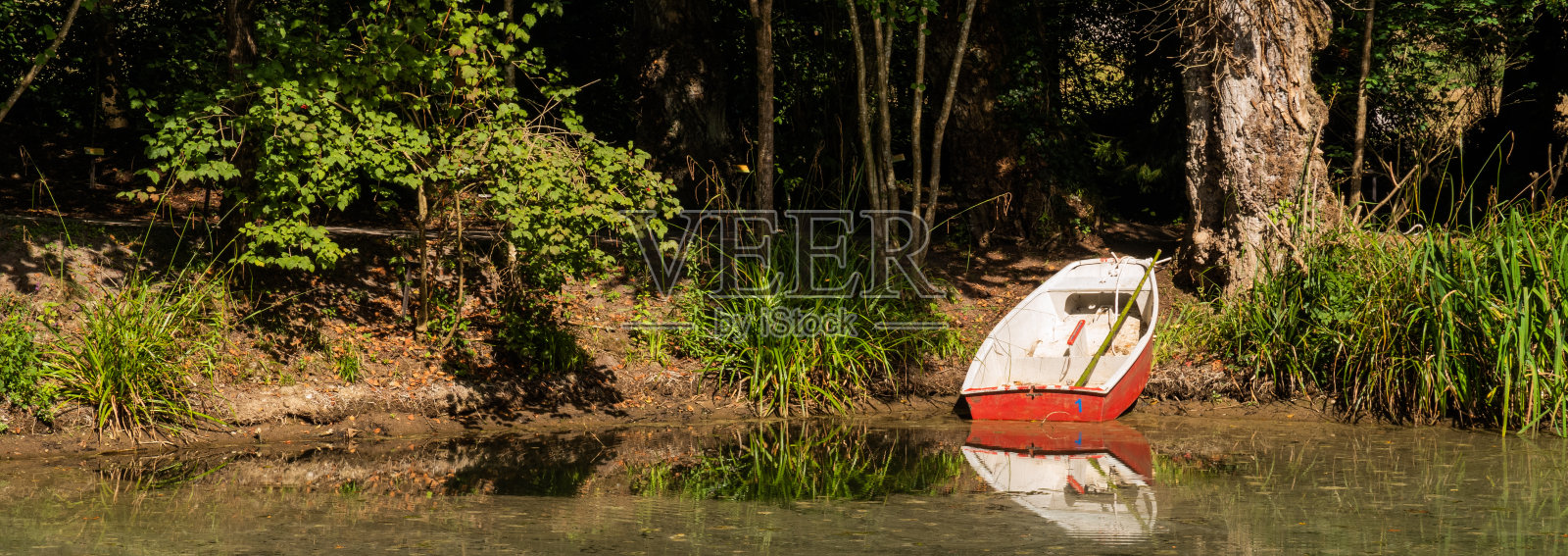在植物园的湖中划船照片摄影图片