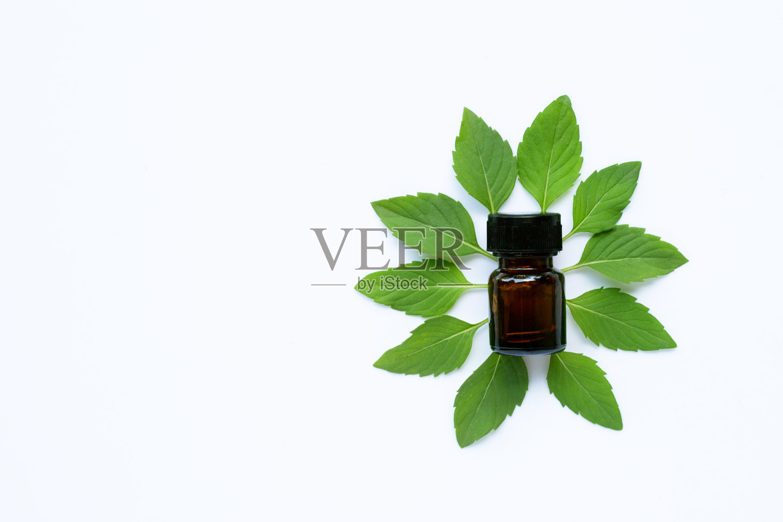 香精油瓶与新鲜薄荷叶在白色背景。照片摄影图片