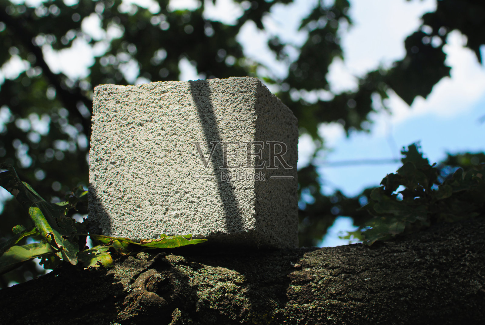 立方形泡沫混凝土在树上的例子。生态系统概念照片摄影图片
