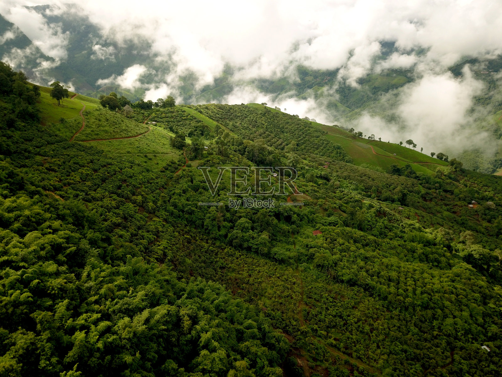 鸟瞰郁郁葱葱的绿色雨林山照片摄影图片