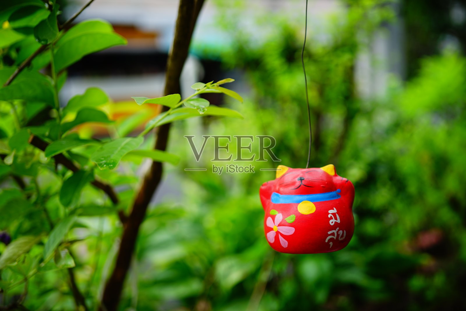 红猫移动娃娃用陶瓷挂在树上照片摄影图片