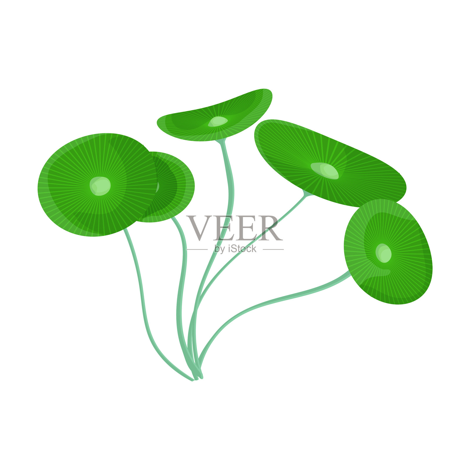 海藻图标卡通图标孤立插画图片素材