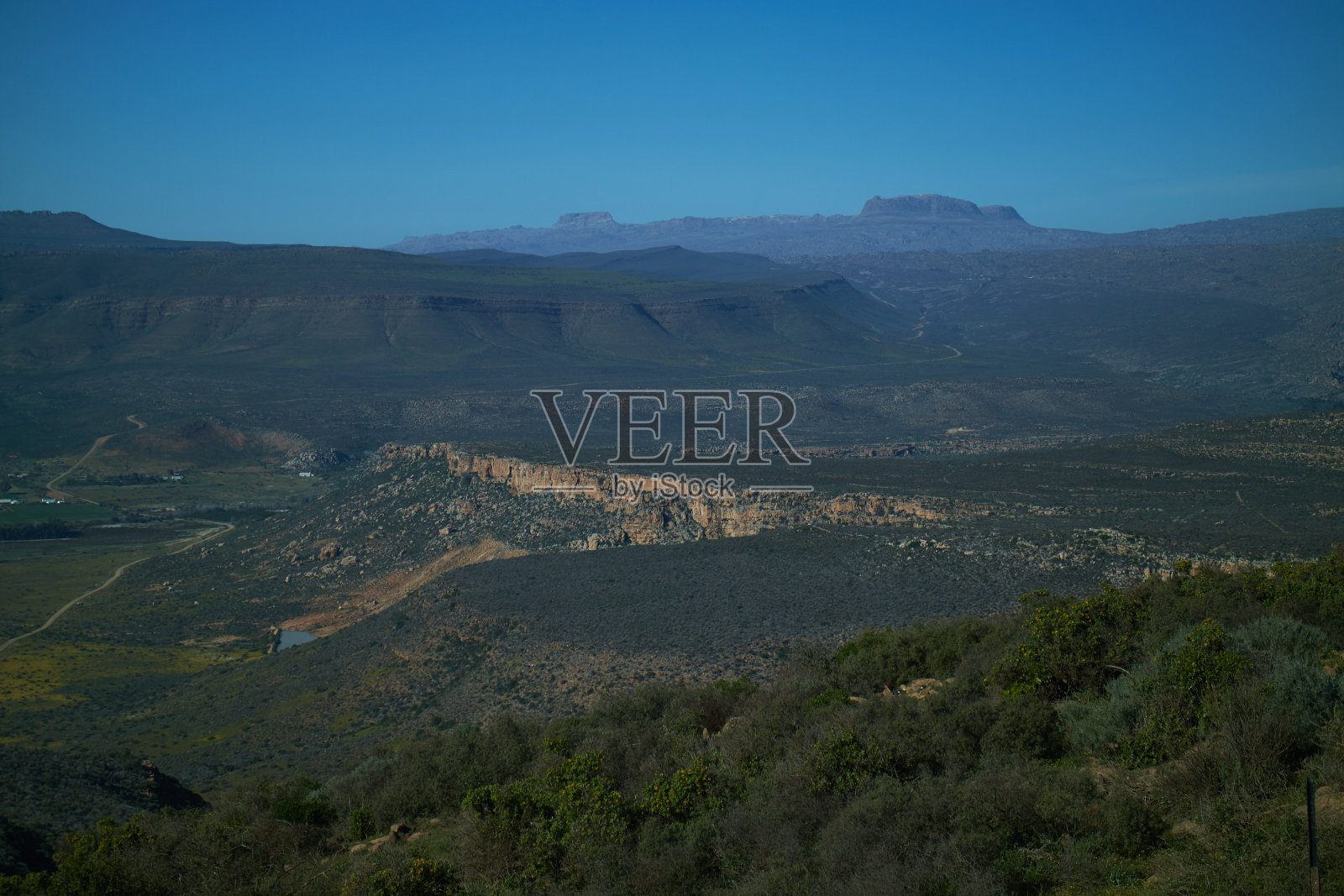 Biedouw谷花照片摄影图片