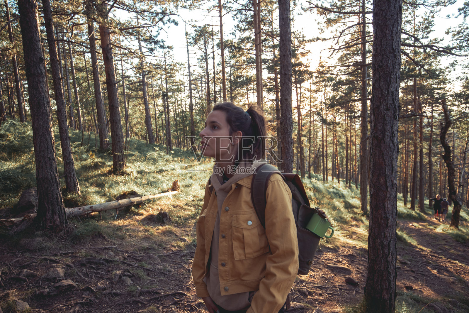 被这惊人的景色惊呆了照片摄影图片