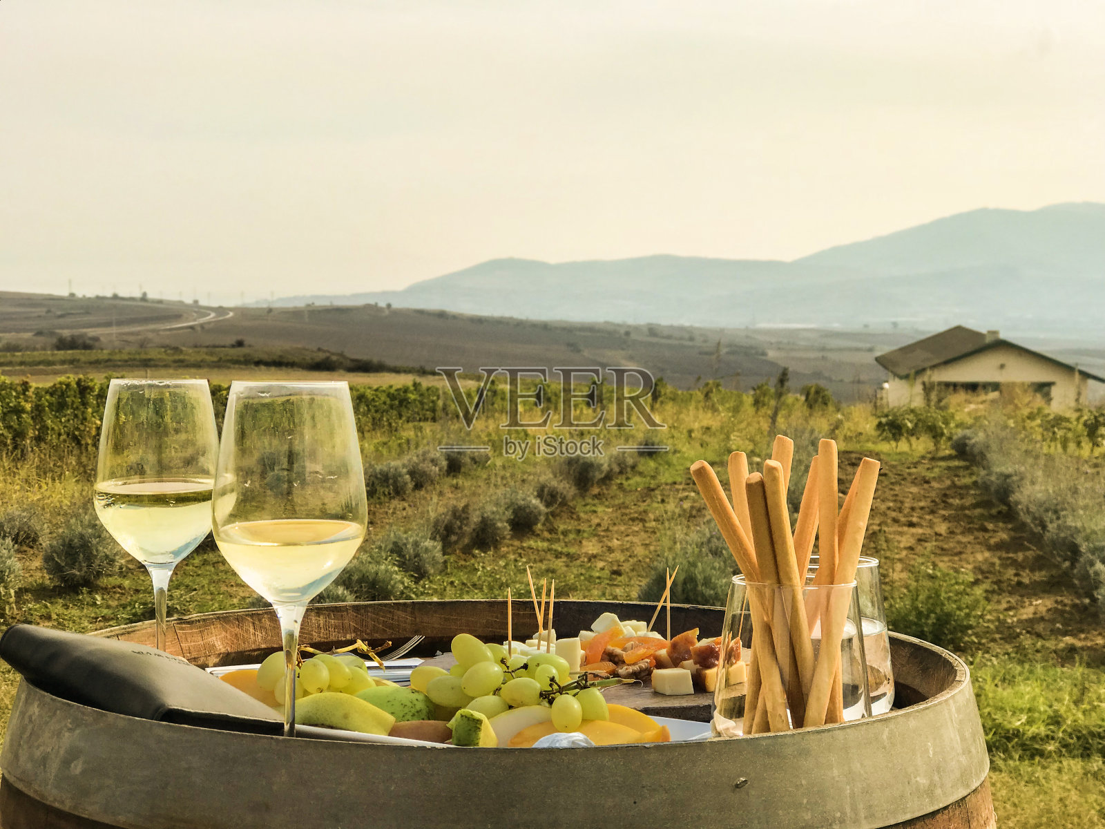 在阳光明媚的日子里，欣赏葡萄园里的白葡萄照片摄影图片