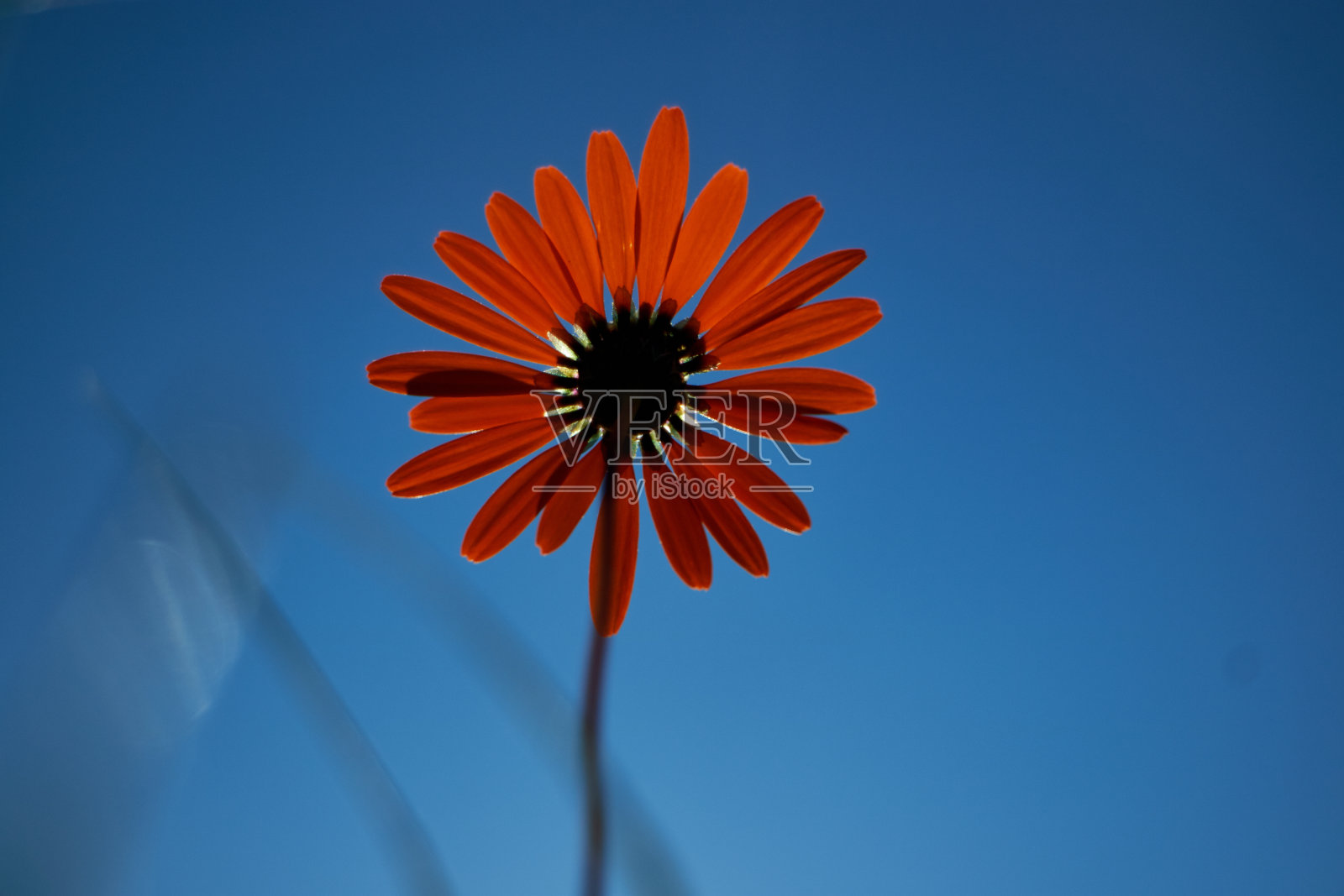 比杜谷 2照片摄影图片