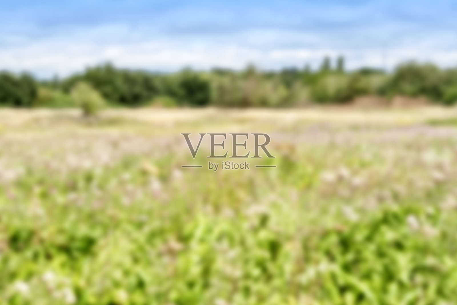 高键模糊景观照片摄影图片