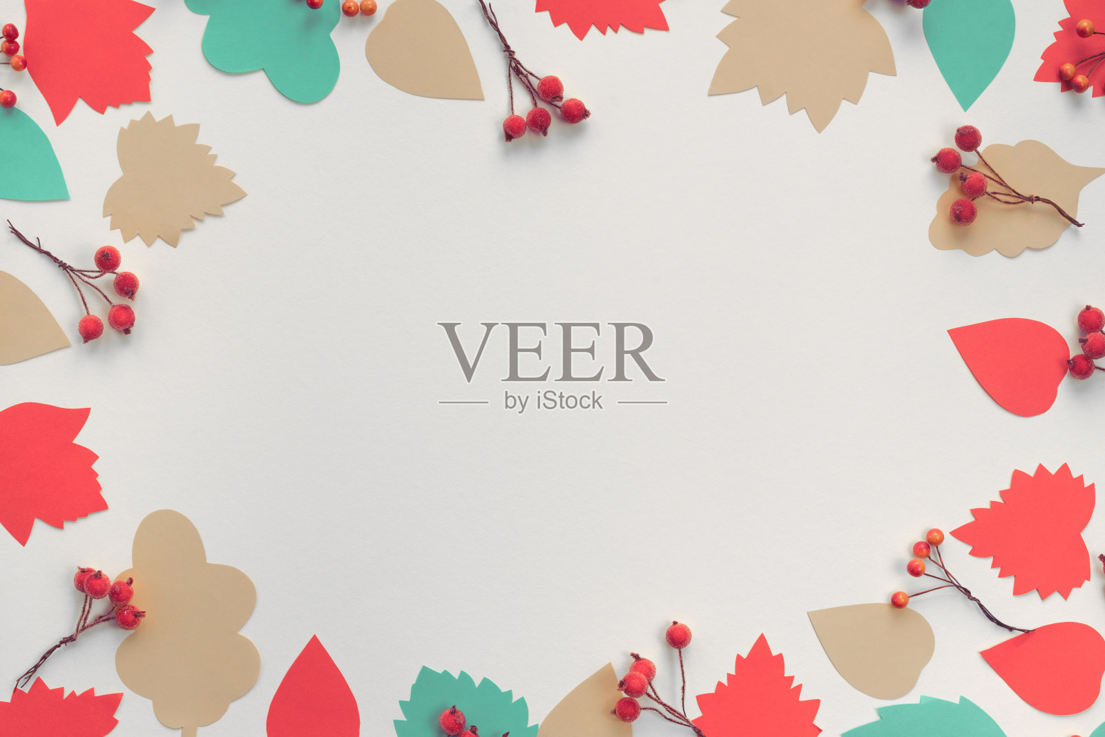 秋天构图框架纸彩色的树叶，树枝，浆果，白色的背景，秋天的概念，平铺顶视图照片摄影图片