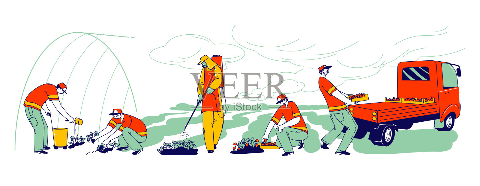 草莓农场工人照顾，采摘和装载新鲜浆果分配。移民或志愿者角色插画图片素材