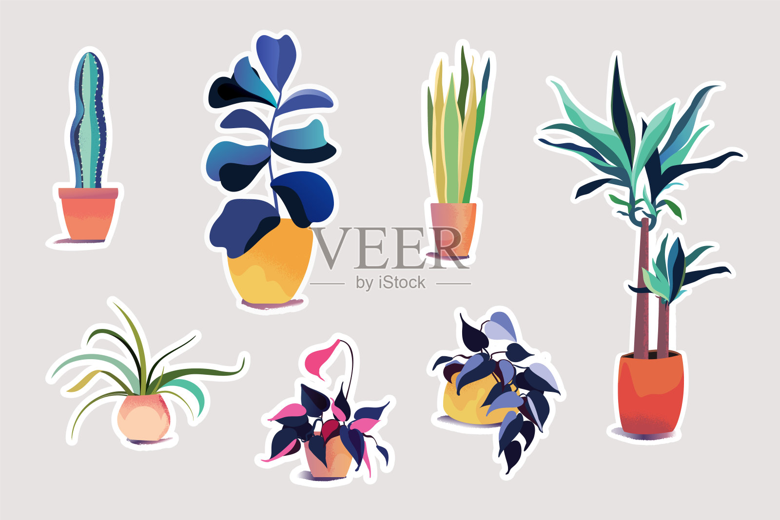 家庭植物贴纸套装插画图片素材