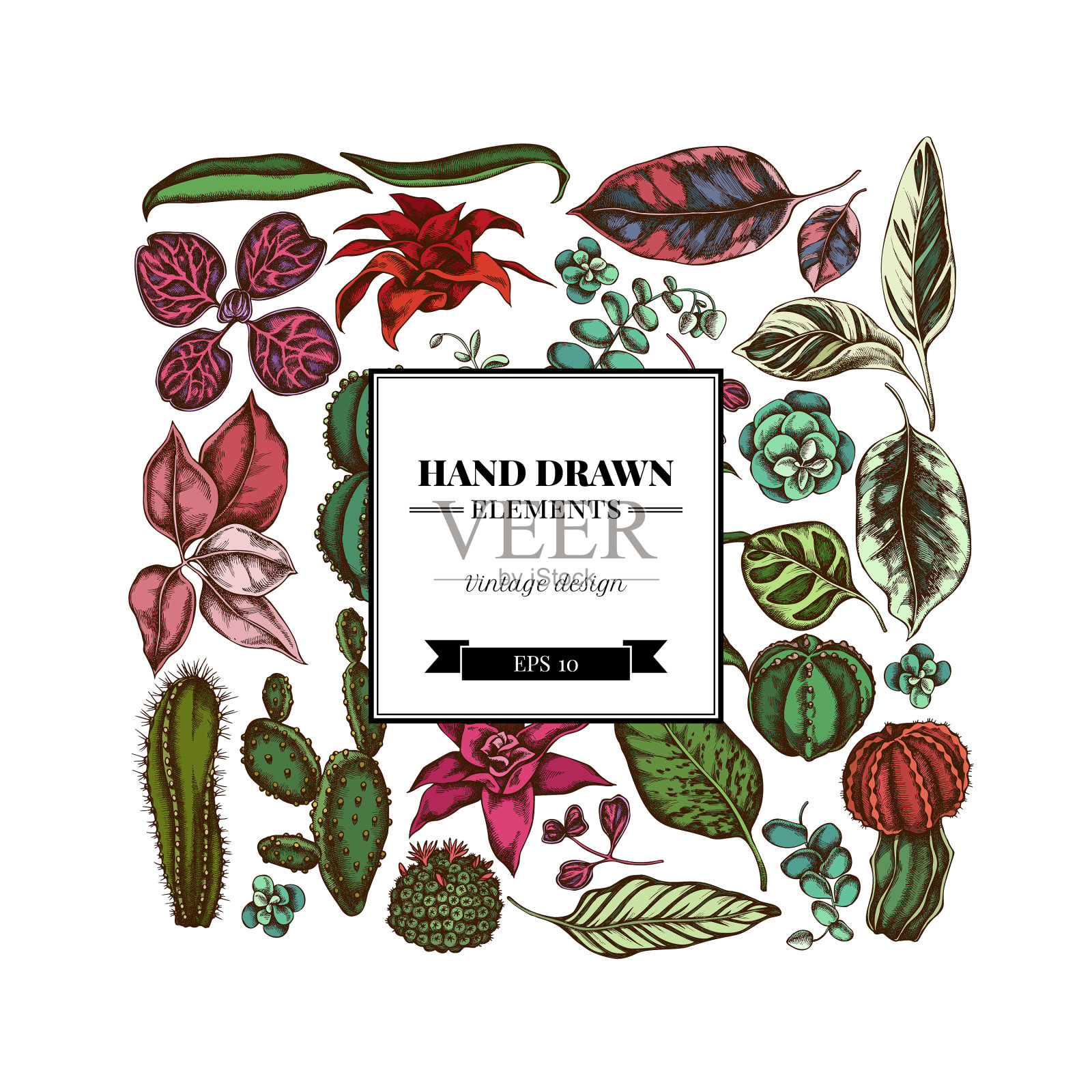 广场花卉设计与彩色榕树鸢尾插画图片素材