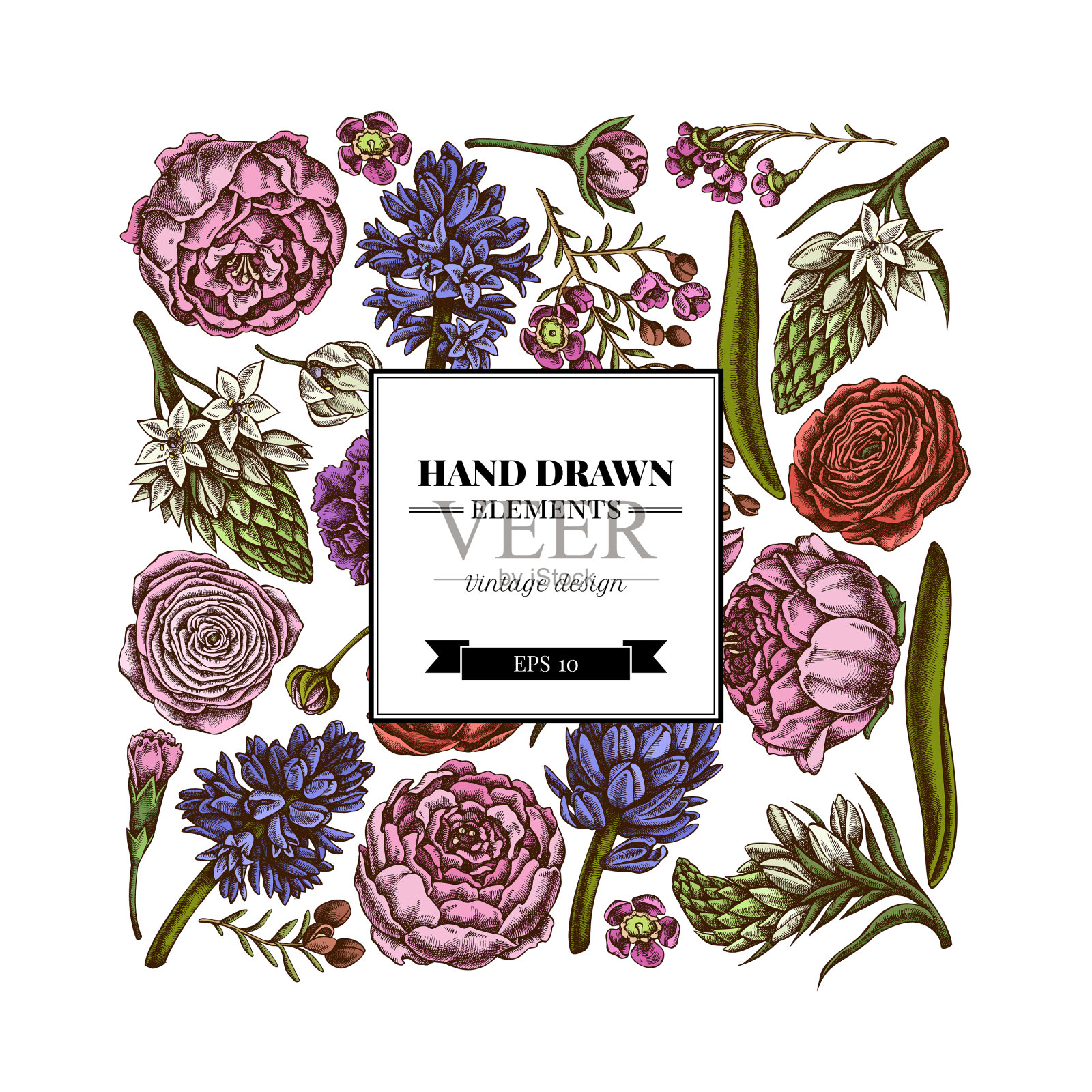 方形花卉图案与牡丹康乃馨插画图片素材