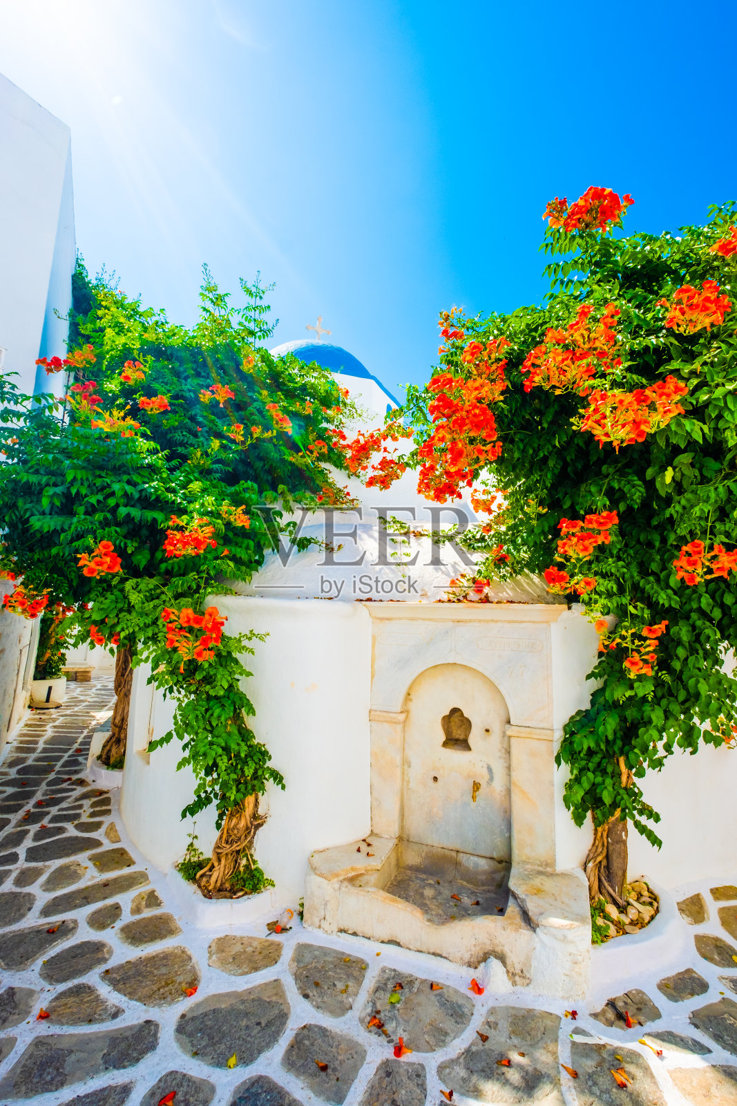 希腊街餐厅的阳光景观照片摄影图片