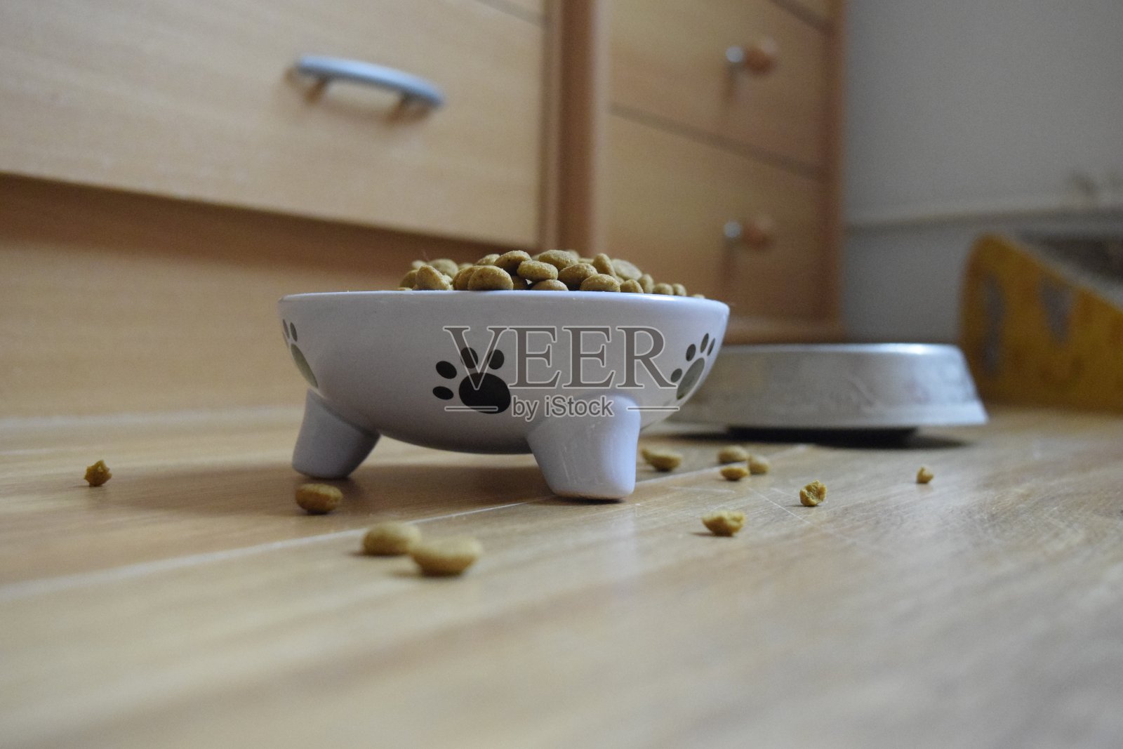 猫粮法院照片摄影图片