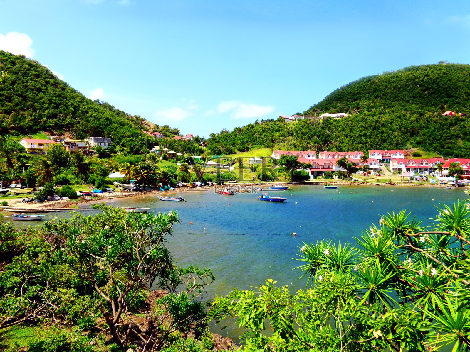 瓜德罗普圣徒群岛Terre-de-Haut海边的度假屋照片摄影图片